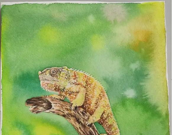 Wat is het verschil tussen gouache -verf, olieverf, acrylverf en waterverfverf?